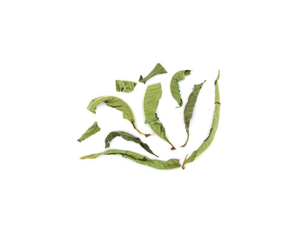 Τσάι Λουίζα Lippia citriodora bio